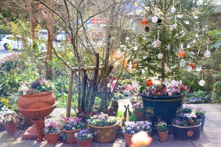 ベランダでも玄関先でもOK！ 鉢植えだけで作る大人かわいいクリスマスガーデン実例5選