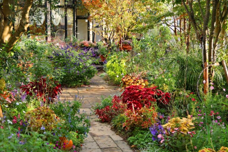 晩秋の庭に色の灯りを|夏植えて、秋にいちばんきれいになるカラーリーフの使い方