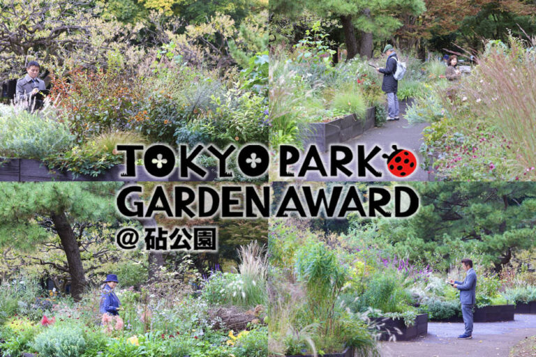 グランプリ決定！「第3回東京パークガーデンアワード砧公園」の『ファイナル審査』を迎えた11月の庭と審査の様子をご紹介