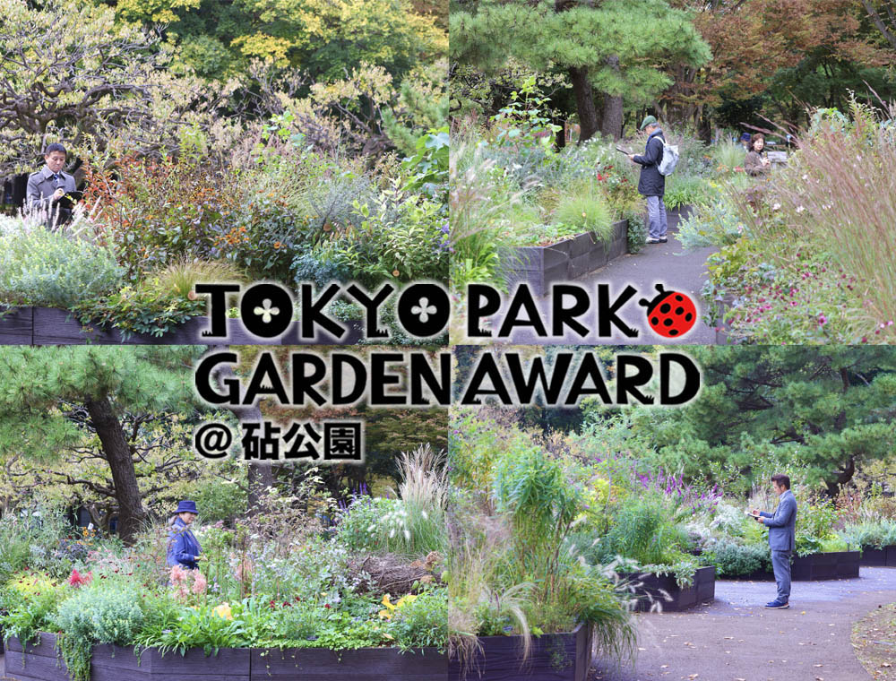 グランプリ決定！「第3回東京パークガーデンアワード砧公園」の『ファイナル審査』を迎えた11月の庭と審査の様子をご紹介