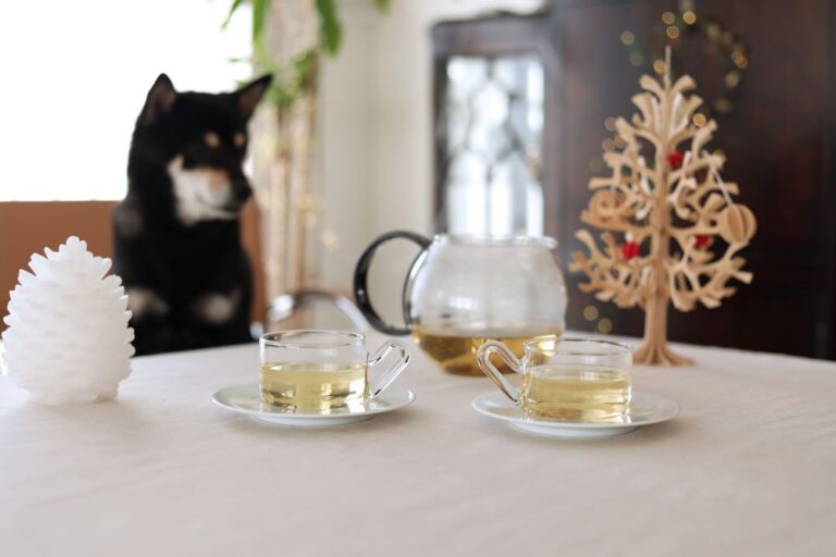 寒い季節に“ほっとする”リンデンティー。愛犬にもできるやさしいケア&手作り肉球バーム