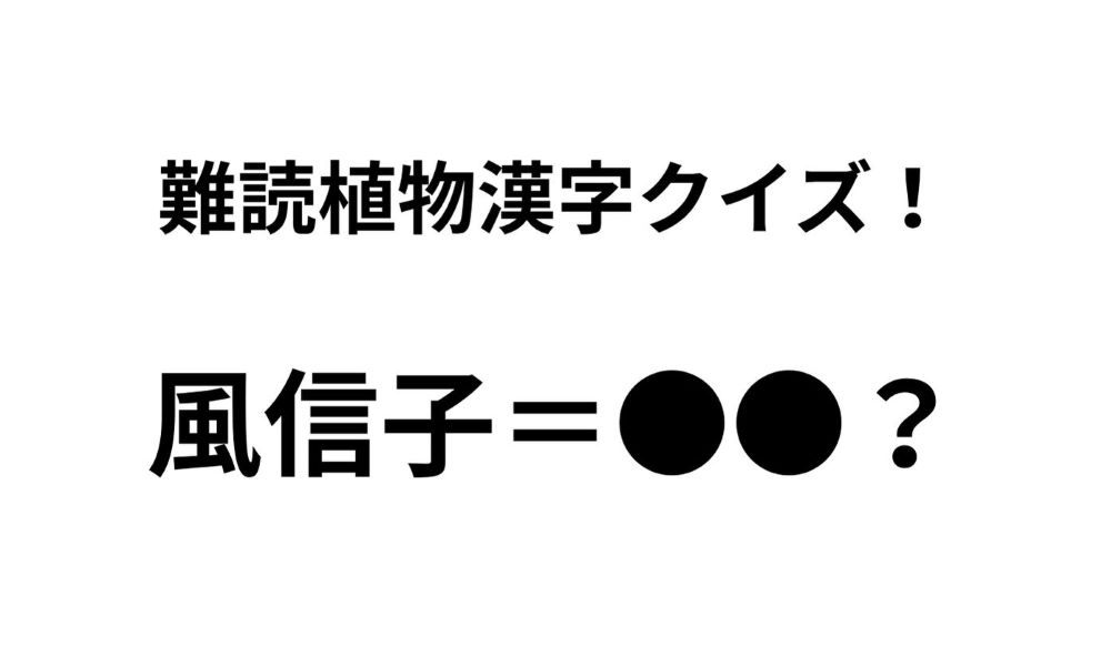 「風信子」ってなんて読む？ 正解できたらすごい難読植物名漢字クイズ【Let’s Try! 植物クイズ】Vol.23