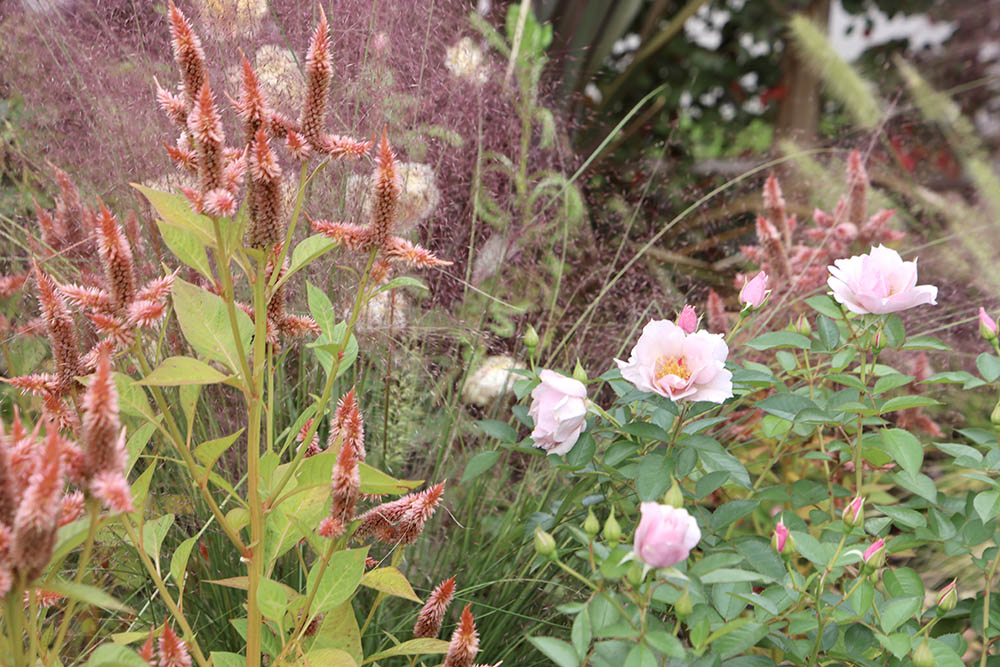 ‘クー・ド・クール’