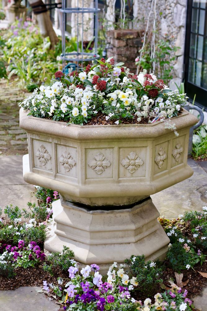 冬の大鉢寄せ植え