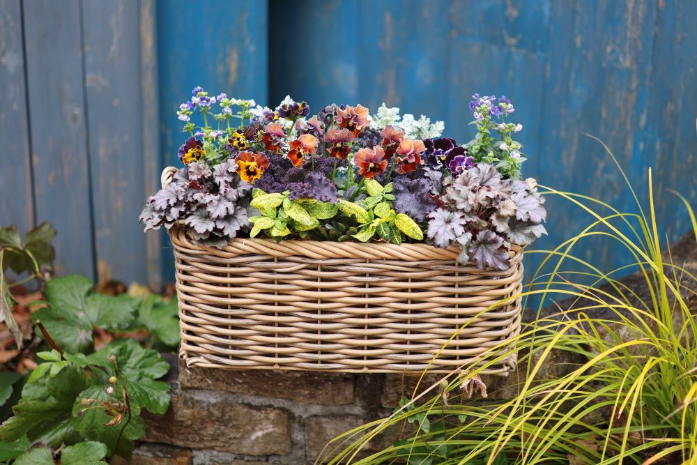 シックカラーのバスケット寄せ植え