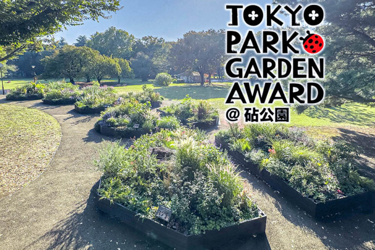 都立公園を新たな花の魅力で彩る「第3回 東京パークガーデンアワード」都立砧公園【ファイナル審査を迎える11月の庭】