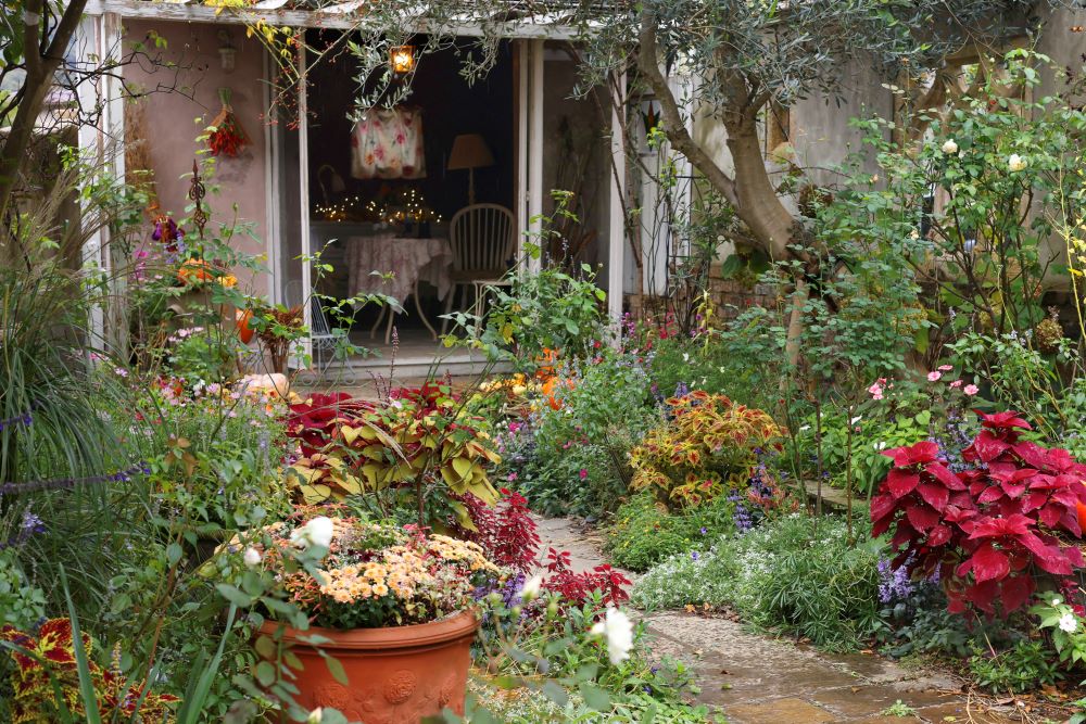 秋の庭とコリウス