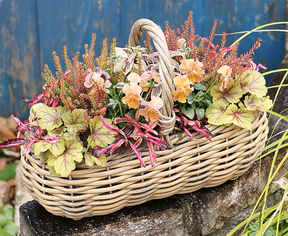 Garden Story (ガーデンストーリー) – 心ときめく幸せな人生は花・緑