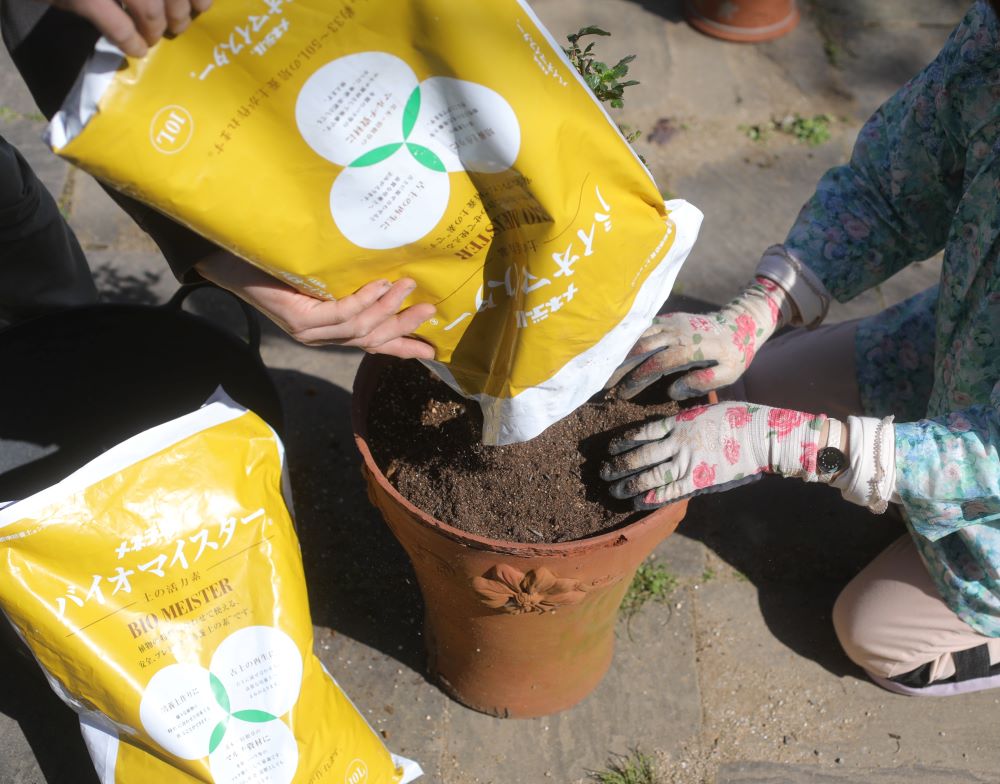 バイオマイスター