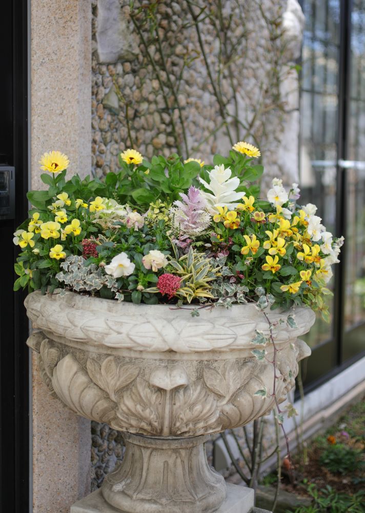 福を重ねるハボタンの迎春コンテナ