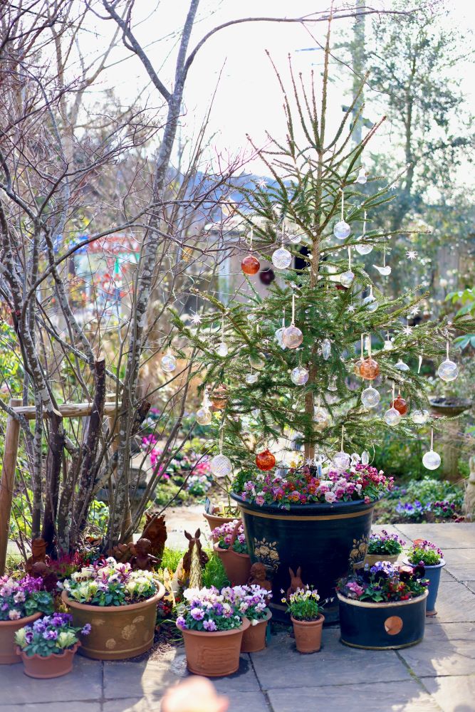 鉢植えクリスマスガーデン