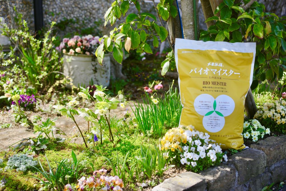 バイオマイスター