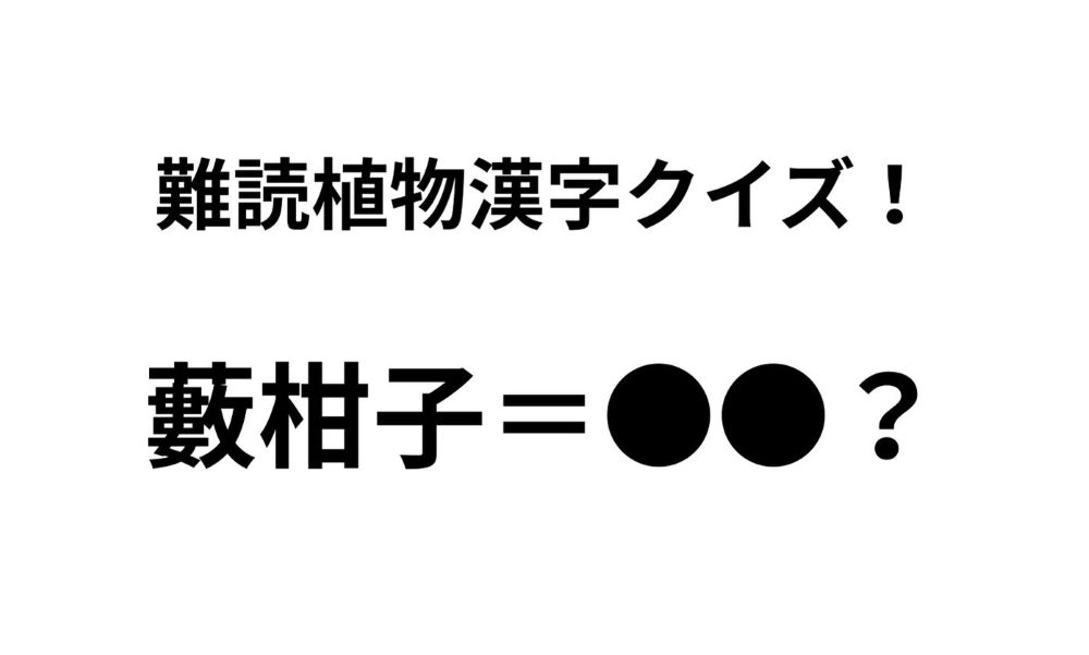 「藪柑子」ってなんて読む？ 正解できたらすごい難読植物名漢字クイズ【Let’s Try! 植物クイズ】Vol.29