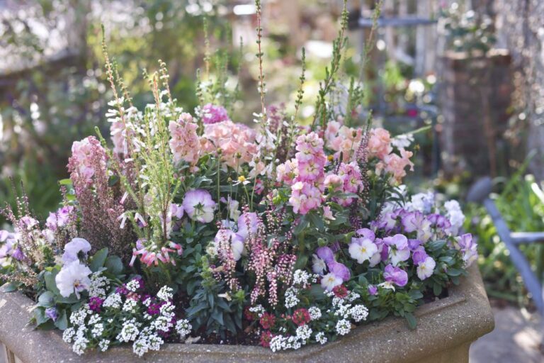 ハレの日を庭に迎える、一鉢の祝福――やさしい色でつくる、特別な日の寄せ植え