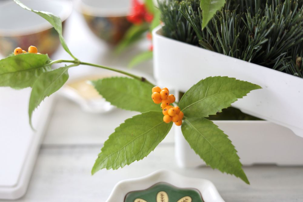 センリョウを入れる