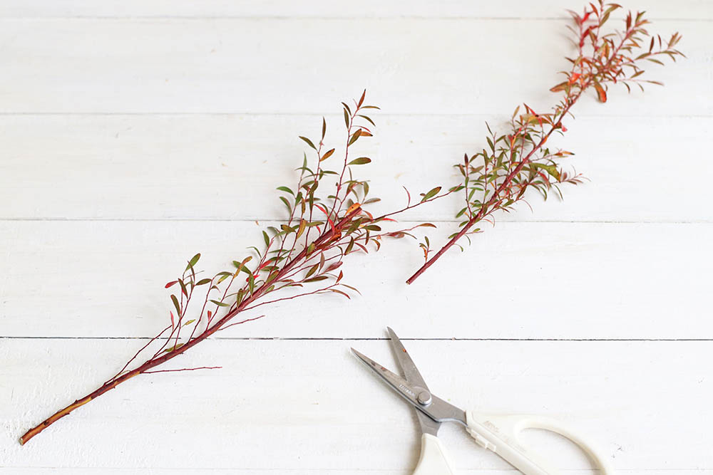 ユキヤナギをカット