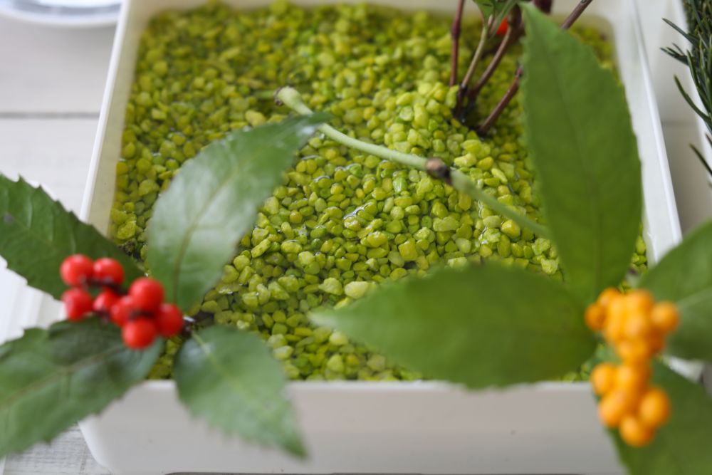 センリョウを入れる