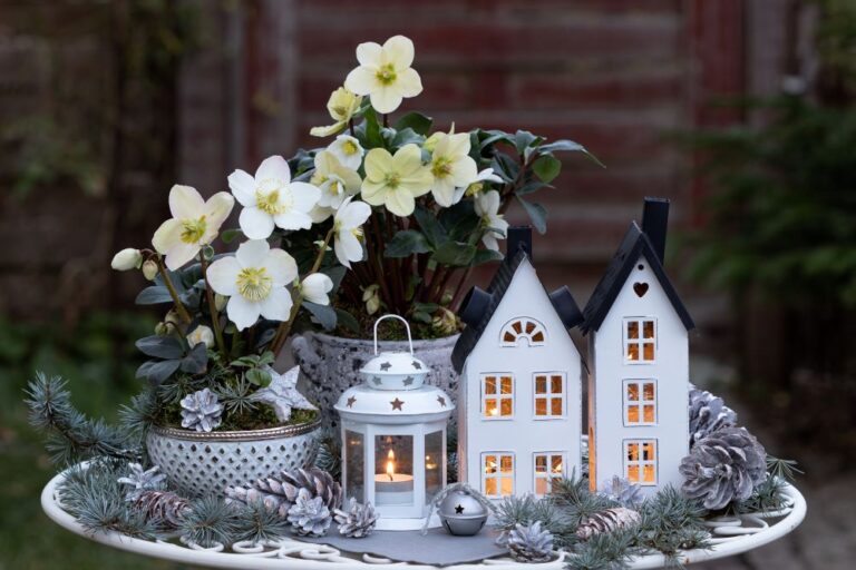 【ベランダ&室内編】1鉢あれば真似できるクリスマス・ガーデンデコ10選