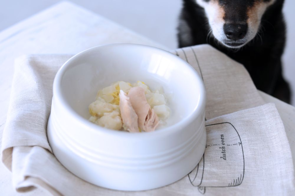 温かい愛犬の食事