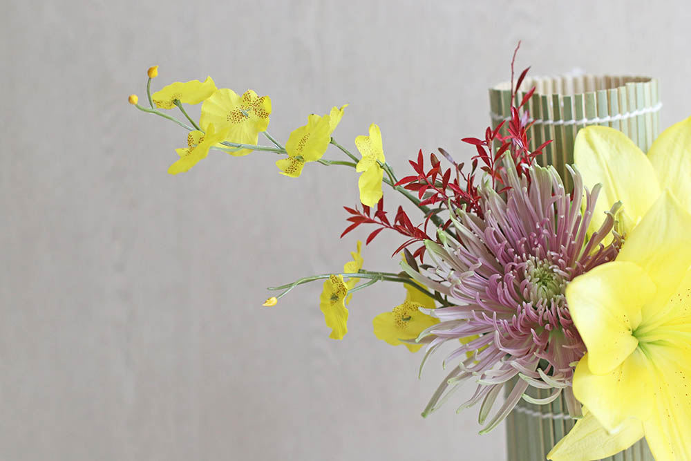 オンシジウムを入れる