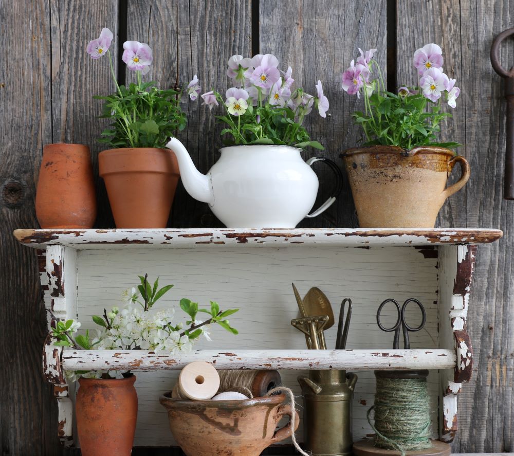 鉢植えディスプレイ