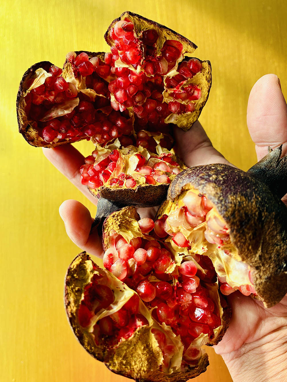 黒実のザクロ‘エイトボール’