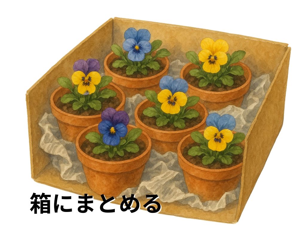 鉢植えの地震対策