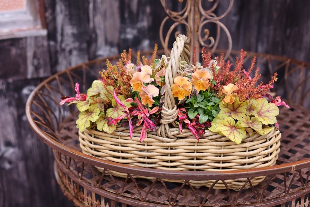 バスケットの寄せ植え