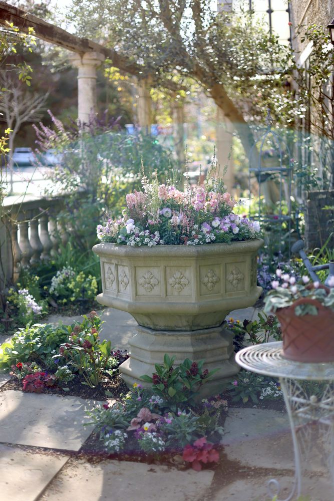 大鉢の寄せ植え