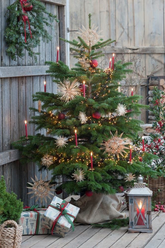 クリスマスツリー