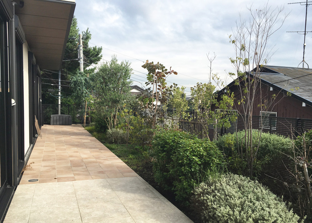 南側は長いテラスに植栽で