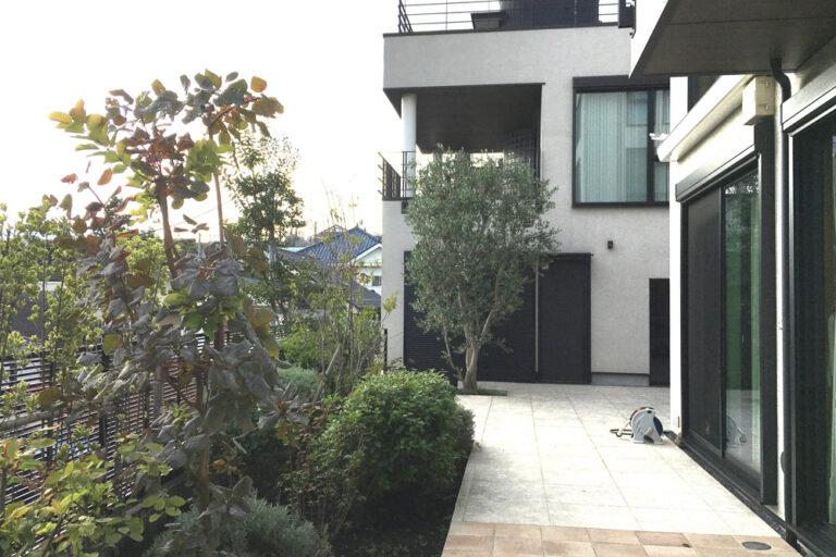 【実例紹介】建築と緑が引き立て合う家──構造と植栽がつくる、心地よさの設計思想