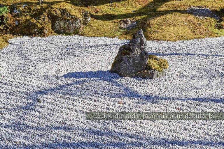 【日本庭園　超・入門】なぜ水がないのに「海」が見えるのか？ 京都・枯山水が600年以上も人々を魅了する「見立て」の魔力