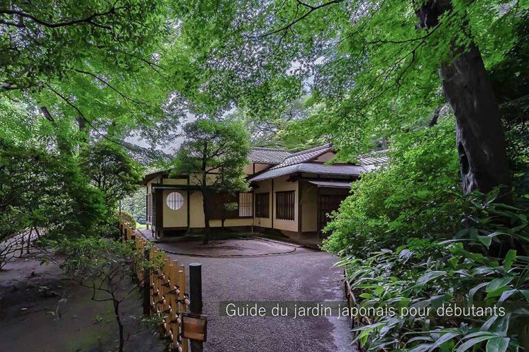 【日本庭園 超・入門】なぜ日本庭園には“飛び石”があるのか? 茶の湯が育んだ「露地」の美学