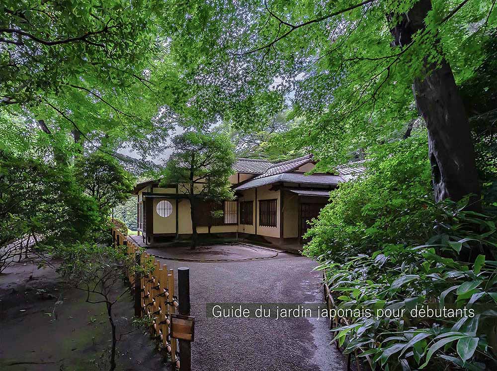 【日本庭園 超・入門】なぜ日本庭園には“飛び石”があるのか？ 茶の湯が育んだ「露地」の美学