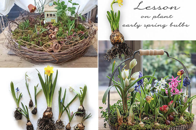【全国どこからでも】おうちで楽しむ春の小さな庭作り。毎年人気の「球根の籠森」2026年2月レッスン開催！