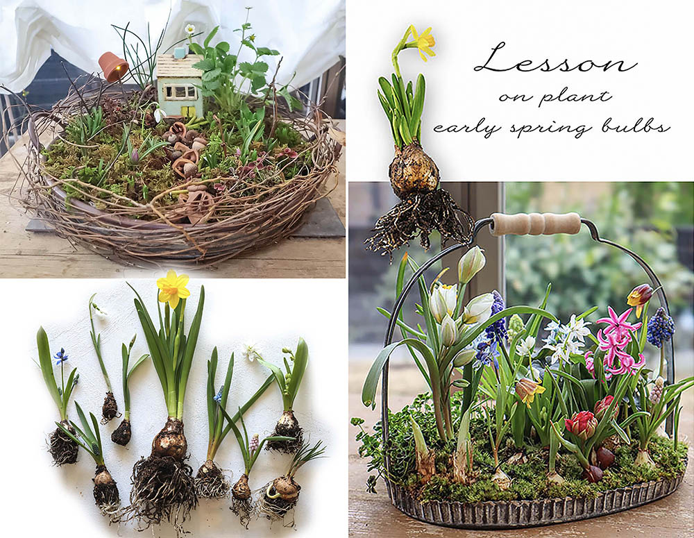 【全国どこからでも】おうちで楽しむ春の小さな庭作り。毎年人気の「球根の籠森」2026年2月レッスン開催！