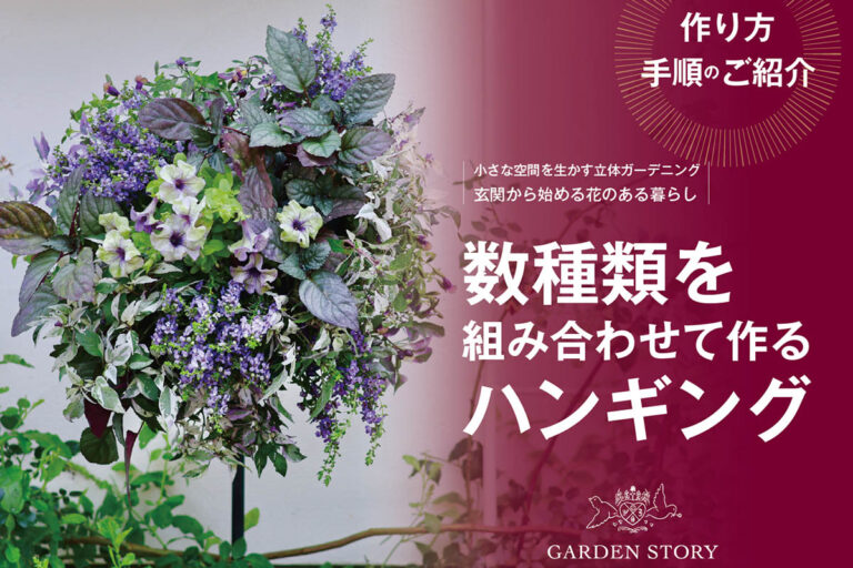 動画で解説『小さな空間を生かす立体ガーデニング　玄関から始める花のある暮らし』