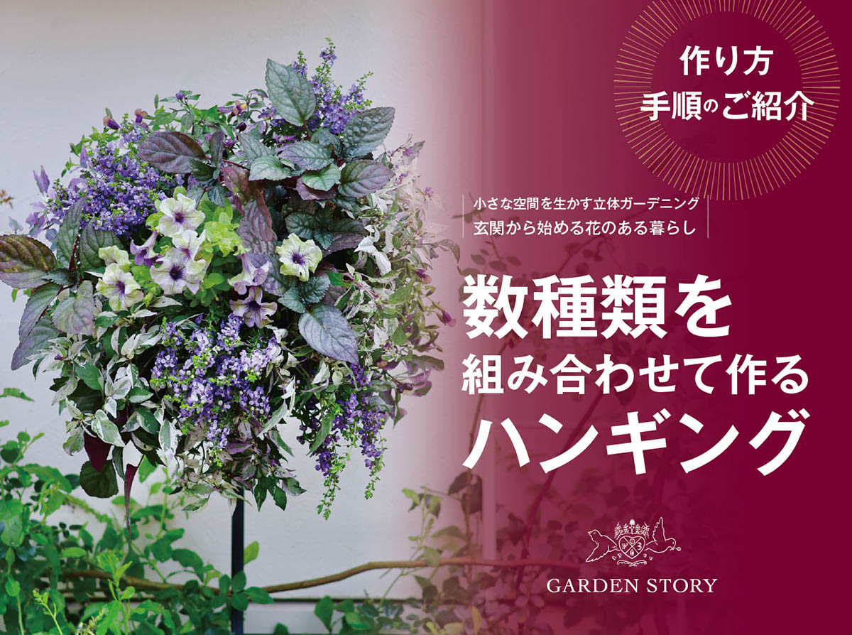 動画で解説『小さな空間を生かす立体ガーデニング　玄関から始める花のある暮らし』