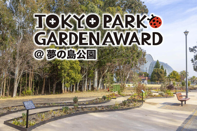 都立公園を新たな花の魅力で彩る画期的コンテスト「第4回 東京パークガーデンアワード」夢の島公園【2月の様子】