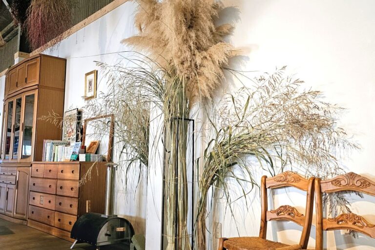 植物を枯らしてしまう人へ。育てない庭という選択｜ドライフラワーで作る“時間を閉じ込めた”インドアガーデン