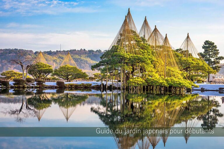 なぜ日本庭園は「常緑樹」が多いのか？ 世界が憧れる日本の庭木文化と美意識