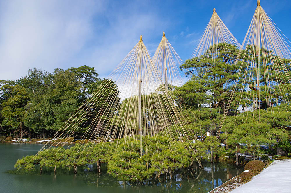 兼六園のマツの雪吊り