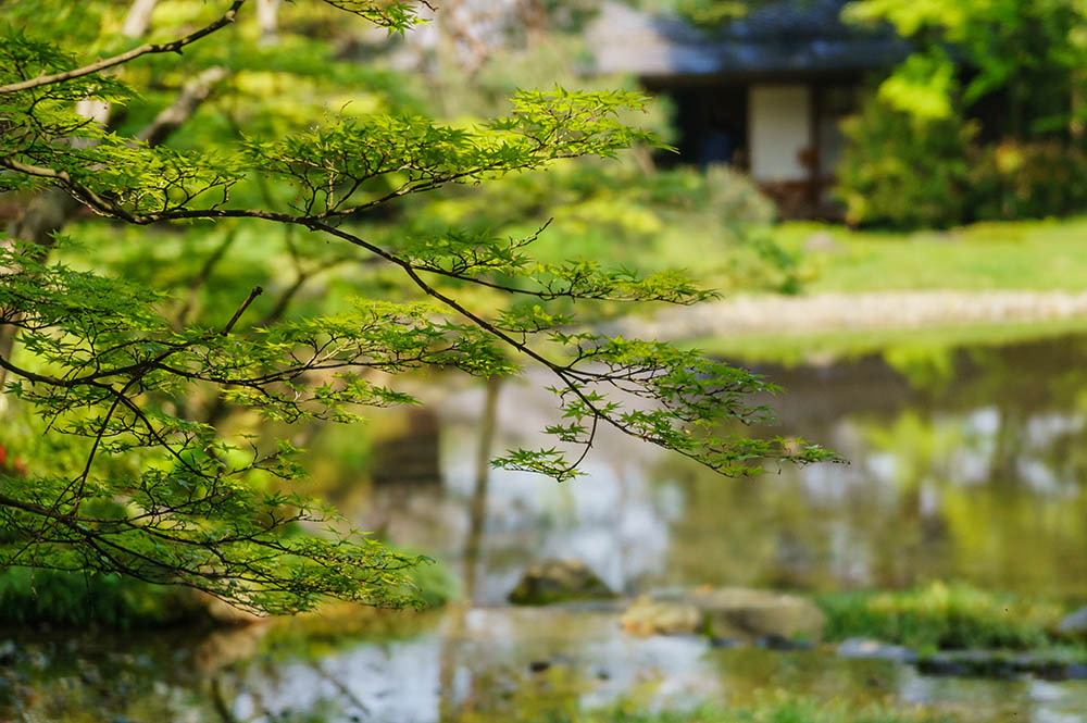 無鄰菴（京都）
