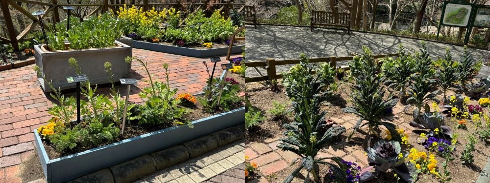 神戸布引ハーブ園