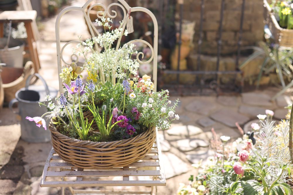 春のリース寄せ植え