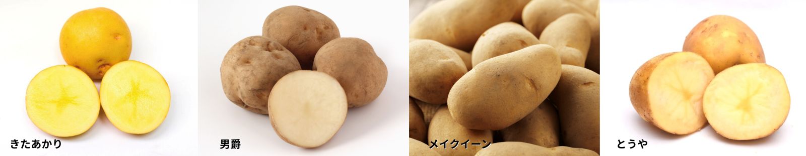 ジャガイモの品種