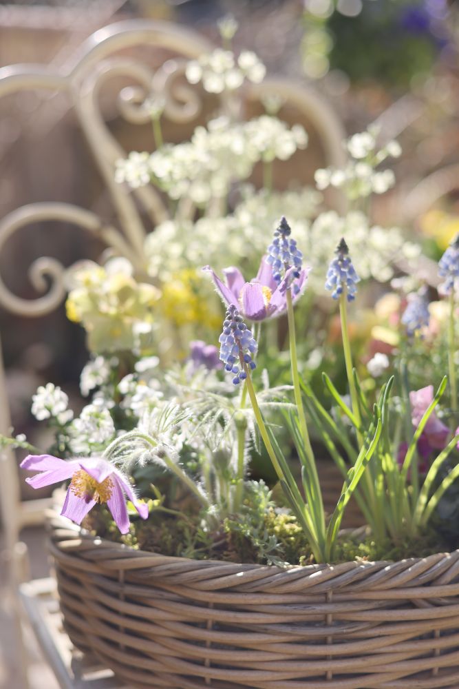 春のリース寄せ植え