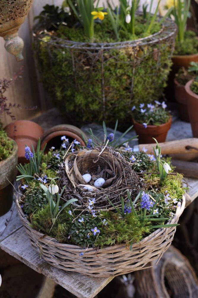 春のリース寄せ植え