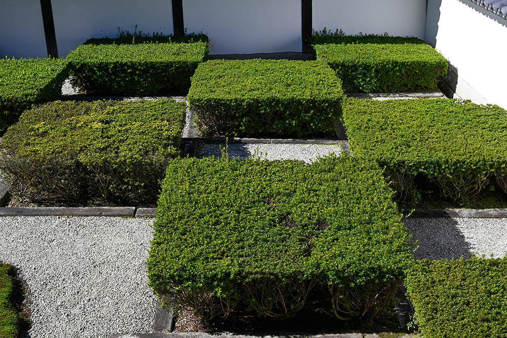 東福寺の西庭、井田の庭